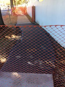 Arthur 2019-10-28 12.54.56 copy