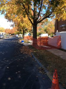 Arthur 2019-10-28 12.55.12 copy