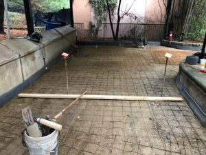 Asia 2021-01-04 10.56 IMG_0109 copy