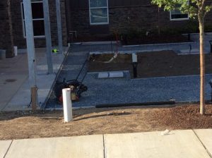 BV Crofton 2019-09-04 08.55.06 copy