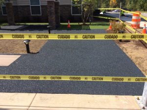 BV Crofton 2019-09-04 13.50.27 copy