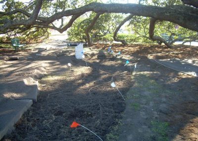 Bicentennial Live Oak Renovations 007