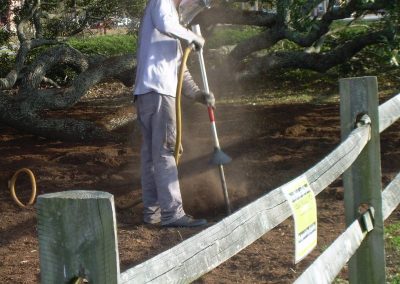 Bicentennial Live Oak Renovations 096