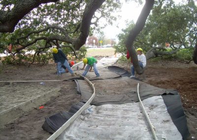 Bicentennial Live Oak Renovations 105