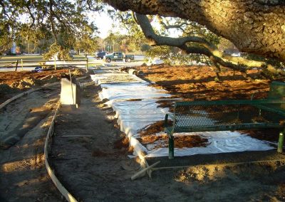 Bicentennial Live Oak Renovations 156