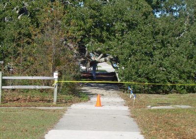 Bicentennial Oak Construction Phase 008