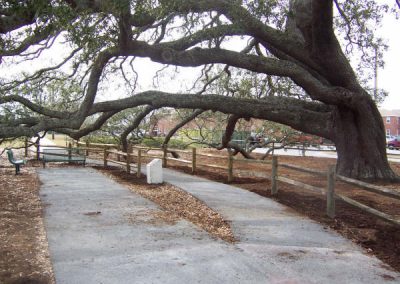 Bicentennial Oak Post Construction 3