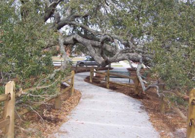 Bicentennial Oak Post Construction 4