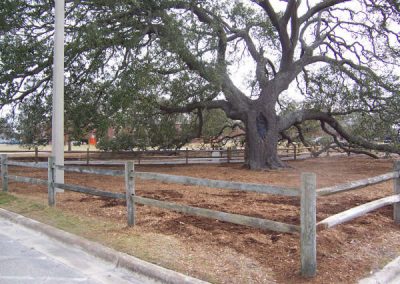 Bicentennial Oak Post Construction 5