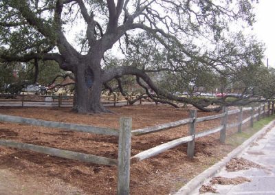 Bicentennial Oak Post Construction 6