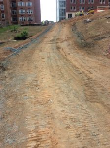 Brandon Ave 2019-08-05 10.43.32 copy