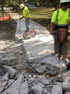 Brookland 2019-11-05 11.28.24 copy