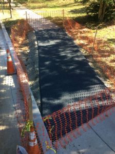 Brookland 2019-11-06 12.23.00 copy