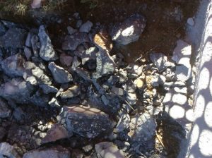 Brookland 2019-11-26 10.42.47 copy