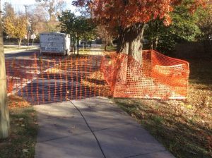 Brookland 2019-11-26 13.46.06 copy