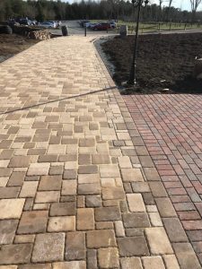 Bull Run 2018-03-23 17.33.36 copy