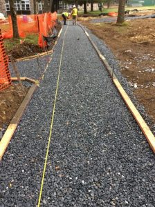 Camp Greentop 2019-05-01 08.46.05 copy