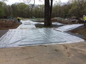 Camp Greentop 2019-05-02 16.06.17 copy