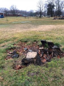 Catonsville IMG_1203