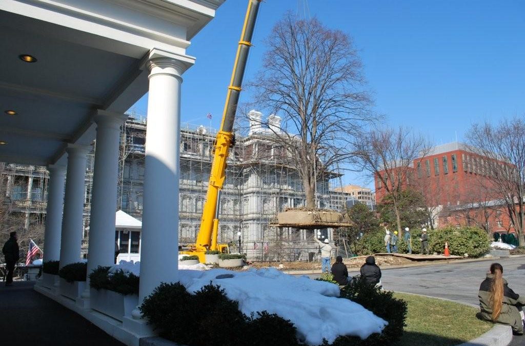 The White House – Washington, D.C.