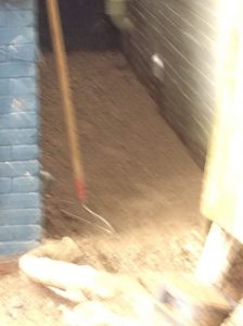 Dunner 2020-07-07 11.44.00 copy