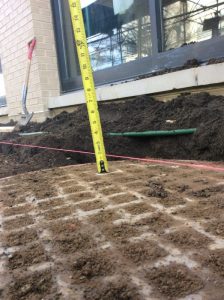 Eckington 2021-03-19 10.13.57 copy