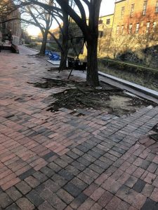 Fish Market 2019-11-25 08.09.40 copy