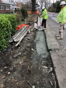 Flower 2020-03-24 10.49.24 copy