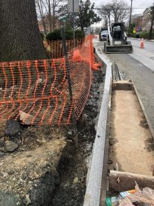 Flower 2020-03-24 10.52.52 copy