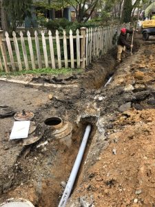 Flower 2020-03-24 12.29.37 copy