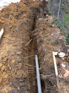 Flower 2020-03-27 12.13.17 copy