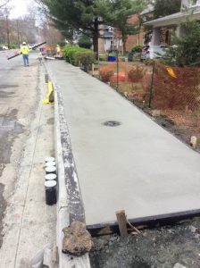 Flower 2020-03-27 12.26.26 copy