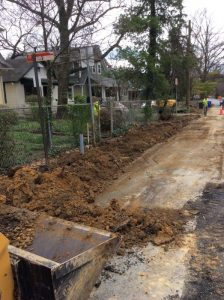 Flower 2020-03-27 12.40.46 copy