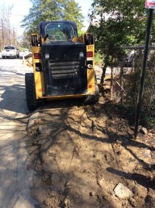 Flower 2020-03-30 11.15.15 copy