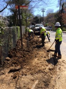 Flower 2020-03-30 14.16.45 copy