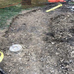 Flower 2020-03-31 09.40.13 copy