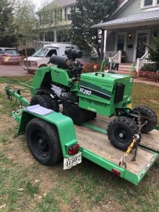 Flower 2020-03-31 09.48.10 copy