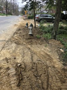 Flower 2020-03-31 09.57.34 copy