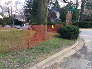 Flower 2020-04-02 14.37.57 copy