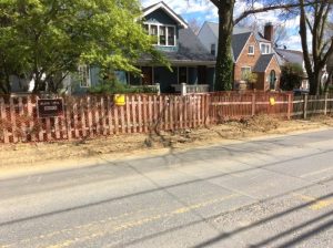 Flower 2020-04-02 15.07.09 copy