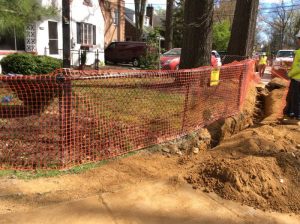 Flower 2020-04-03 15.29.23 copy