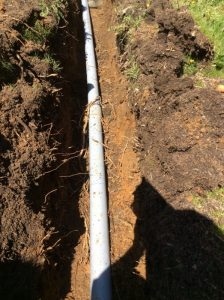 Flower 2020-04-08 13.35.12 copy