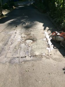 Flower 2020-05-11 09.07.11 copy