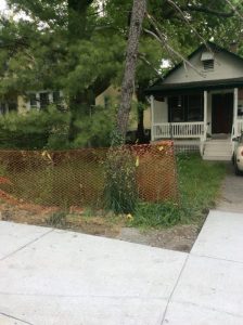 Flower 2020-05-14 09.30.22 copy