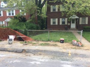 Flower 2020-05-14 09.39.45 copy