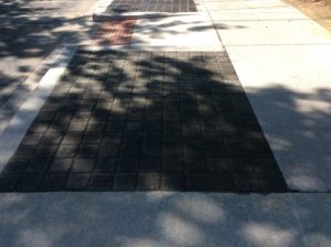 Flower 2020-07-21 09.48.25