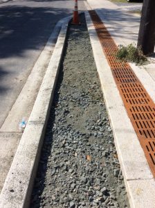 Flower 2020-07-21 10.05.00 copy