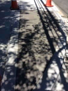 Flower 2020-07-29 13.53.04 copy