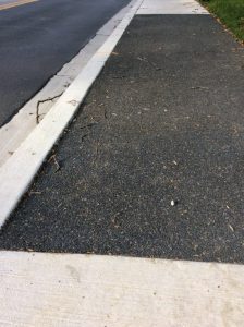 Flower 2020-11-05 15.18.14 copy