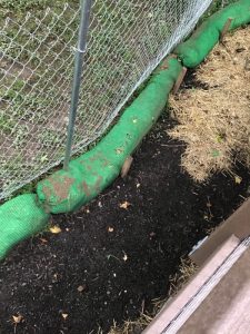 Foxhall 2020-08-31 12.46.04 copy